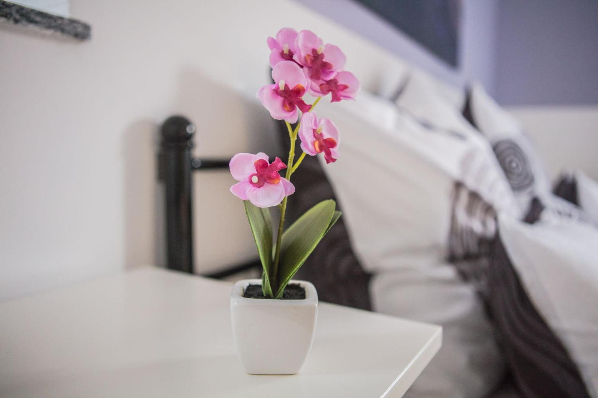 Ferienwohnung Leipzig Sued Markkleeberg Esterno foto